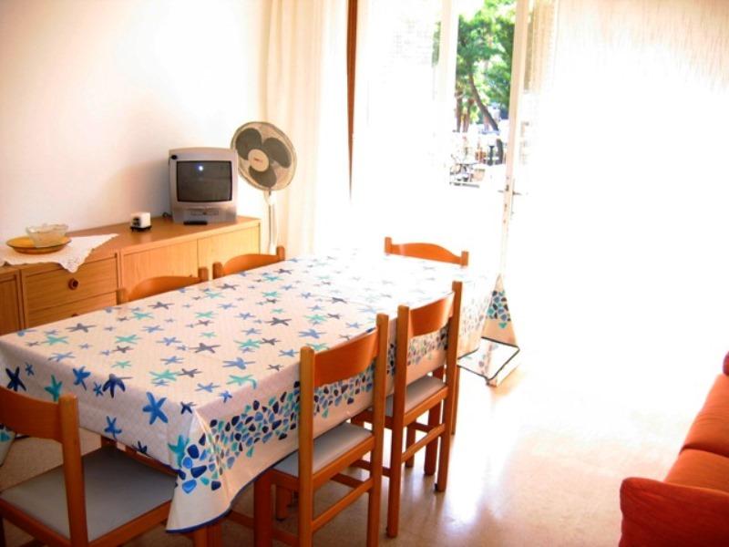 Appartamento VITTORIO VENETO 7